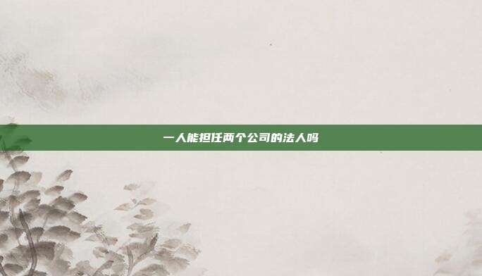 一人能担任两个公司的法人吗