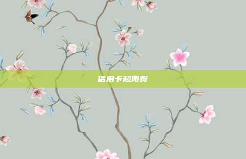 信用卡超限费